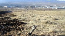 شهرکرد در چند قدمی همسایگی با بیابان