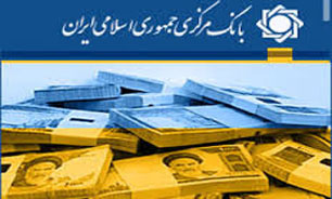ادامه فعالیت موسسات اعتباری بدون مجوز خطری برای اقتصاد کشور