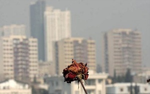 این خوراکی ها سلامتی شما را در هوای آلوده تضمین می کنند