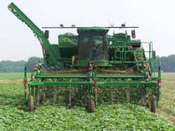 اختصاص بیش از 46 میلیارد تومان بودجه برای توسعه طرح های مکانیزاسیون کشاورزی