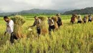 طرح ملی بسیج همگام با کشاورز در 40 روستای نیشابور