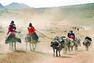 مستند "آخرین کوچ" آداب و سنن بختیاری را به خوبی نشان می دهد