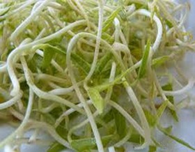 تاثیر جوانه‌ مواد غذایی در پیشگیری از کم‌خونی