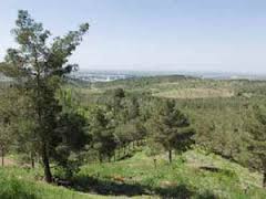 پارک چیتگر روز به روز کوچکتر می‌شود