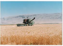 خرید توافقی 25 هزار و 268 تن محصول کشاورزی در قزوین