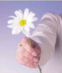 نظر اسلام درباره عذرخواهی