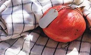 ضرورت فرهنگی احداث باغ موزه دفاع مقدس کرمانشاه