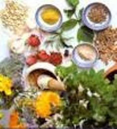 اختصاص 16 هکتار از اراضی استان  به کشت انواع گیاهان دارویی