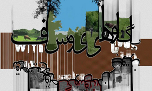 اثری دیگر از برگزیده جشنواره جام جم روی آنتن