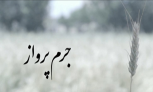 کلیپ "جرم پرواز" به یاد پرواز ناتمام ایرباس ۶۵۵