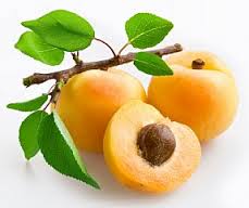 مغز هسته زردآلو را نخورید