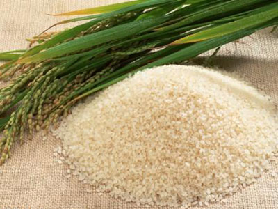 بیمه برنج بیش از 8 هزار و 695 هکتار از شالیزارهای شهرستان آمل