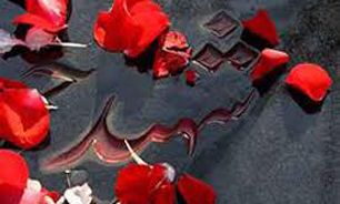 ورود بخش خصوصی به ساماندهی گلزار شهدا