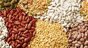 تولید بیش از 680 تن حبوبات در لاهیجان