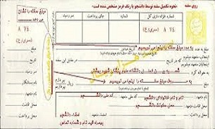 "سفته چیست" و قانون درباره آن چه می گوید