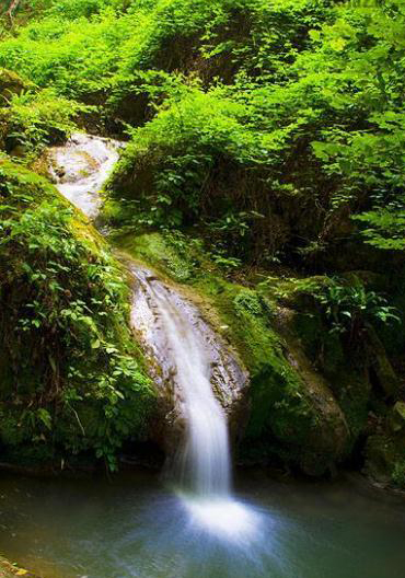 سبزترین روستاهای ایران در "عباس آباد"+تصاویر
