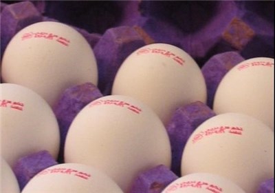 صادرات 501 تن تخم مرغ از خراسان جنوبی