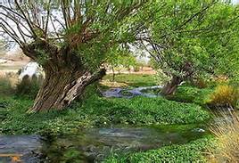 طبیعت گردی ظرفیت مغفول استان یزد/ چالشهای اکوتوریسمی استان یزد