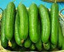 بهره گیری از خیار و متعادل شدن فشار خون