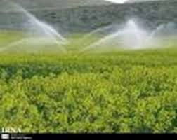 تسهیلات دولتی به کشاورزان استان قزوین ارائه می‌شود