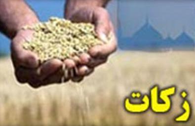 رشد ۷۷ درصدی پرداخت زکات در خراسان جنوبی