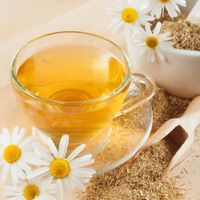 نکاتی در مورد دمنوش های گیاهی که کمتر شنیده اید