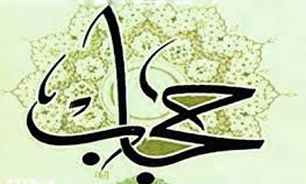 استفاده از مثلث تخلیه، تحلیه و تثبیت استاد شهید مطهری در نهادینه‌سازی فرهنگ عفاف و حجاب