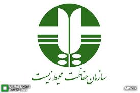 نجات جوجه پرندگان از گرما و کم آبی در سیستان