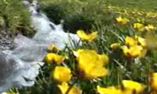 نقطه‌ای از ایران که در دل تابستان همچنان برف به خود می‌بیند + فیلم