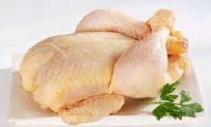 در مغازه مرغ فروشی به این نکات توجه کنید