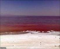 احیای دریاچه ارومیه دغدغه همه ملت است