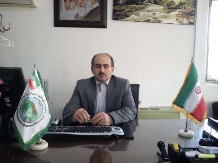 آمار غیر واقعی از جنگل و تخریب آن ارائه نشود