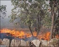 عدم آتش سوزی در جنگل های آذربایجان غربی