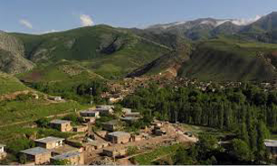 چرا" تعاون" در "اقتصاد روستایی" مهم است ؟