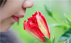 چند بو را می‌توانیم حس کنیم؟