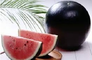 هندوانه های 18 میلیون تومانی!! +تصاویر