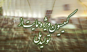 برگزاری "همایش توسعه و سرمایه‌گذاری" از سوی فراکسیون حمایت از تولید ملی مجلس