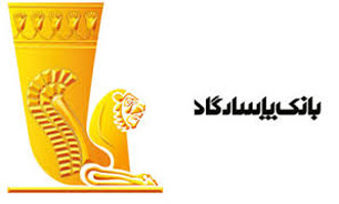 سامانه جامع نوپاد؛ تسهیل در انجام پرداخت های الکترونیکی