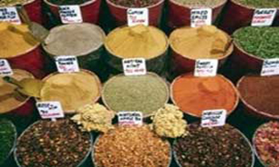 طرح آموزش گیاه‌پزشکی و گیاهان دارویی در منطقه 19 اجرا می‌شود