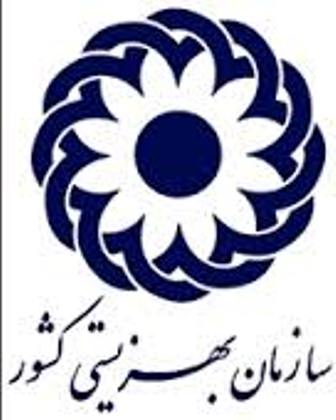 فعالیت بیش از هزار مرکز غیردولتی همسو با بهزیستی در سیستان و بلوچستان