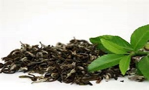 چگونه "چای" طبیعی و با کیفیت را بشناسیم؟