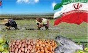 خرید توافقی 34 هزار تن محصول کشاورزی در گیلان