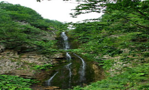 بازی آب، سنگ و درخت در دل" جنگل ابر"