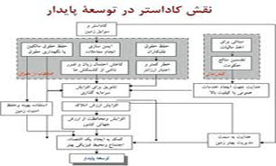 همه چیز در مورد "کاداستر"