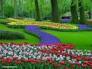 گل مینا تسکین دهنده گیاهی دردهای قولنجی شکم