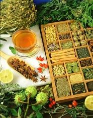 نخستین دوره آموزشی تولید گیاهان دارویی در کشور آغاز می شود