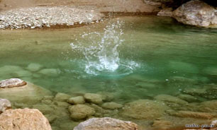 قصر تاریخی۱۱ هکتاری در روستای "باغچه جوق"+تصاویر