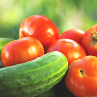 نکاتی در مورد نگهداری بهتر خیار و گوجه فرنگی