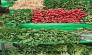 آغاز فصل برداشت، قیمت سبزی را کاهش داد