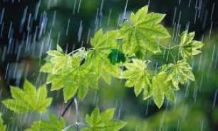آبگرفتگی معابر عمومی و سیلابی شدن رودخانه ها در استان کرمان و آذربایجان غربی/ تهران، صاف در شهرهای جنوبی غبارآلود